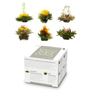 Feelino Teavirág, 6 különböző fajta, egyenként csomagolva, nagyon produktív