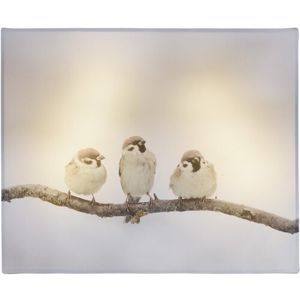 Animal and snow Bird LED vászonkép, 20 x 25 cm
