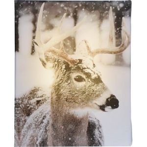 Animal and snow Reindeer LED vászonkép, 20 x 25 cm