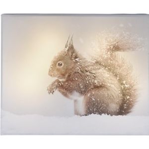 Animal and snow Squirrel LED vászonkép, 20 x 25 cm