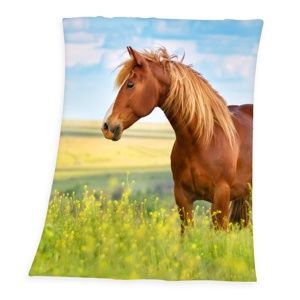 Horse Freedom pléd, 130 x 160 cm