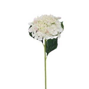 Mű hortenzia, magassága: 52 cm, fehér