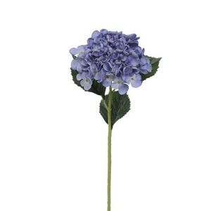 Mű hortenzia, magassága: 52 cm, kék