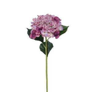 Mű hortenzia, magassága: 52 cm, lila