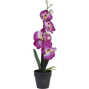 Orchidea virágtartóban rózsaszín, 38 cm