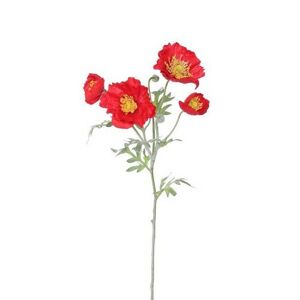 Pipacs 4 virággal, magassága: 52 cm, piros