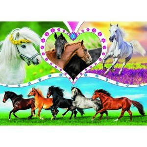 Trefl Puzzle, gyönyörű lovak, 200 részes