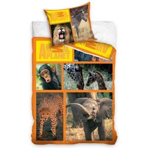 Carbotex Animal Planet - Szafari pamut ágyneműhuzat, 160 x 200 cm, 70 x 80 cm