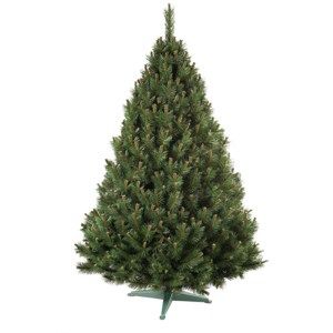 Nohel 91412 Erdeifenyő karácsonyfa, 160 cm, 160 cm