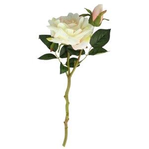 Mű virágzó Rózsa, fehér