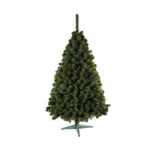 Nordmann karácsonyi fenyőfa, 160 cm