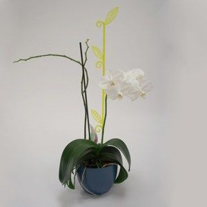 Orchidea pálca, levél, átlátszó zöld, 2 db